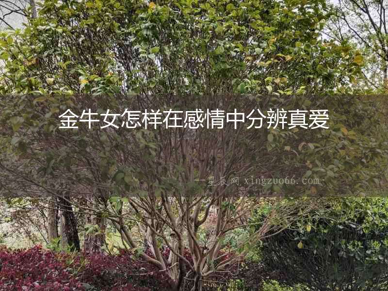 金牛女怎樣在感情中分辨真愛