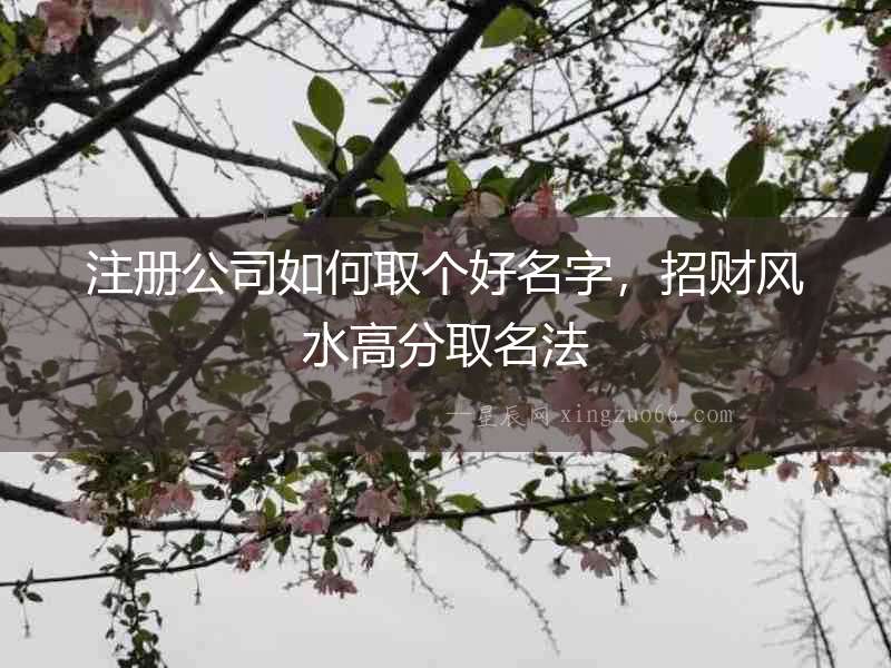 注冊(cè)公司如何取個(gè)好名字，招財(cái)風(fēng)水高分取名法