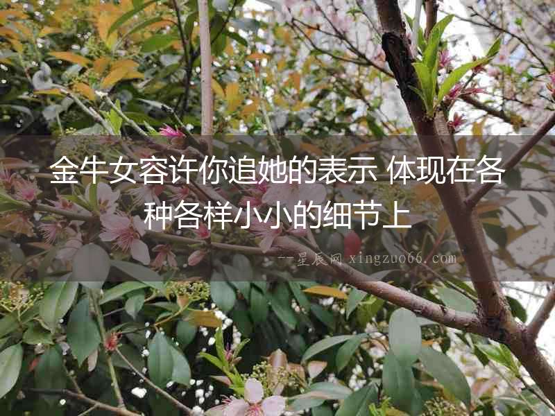 金牛女容許你追她的表示 體現(xiàn)在各種各樣小小的細節(jié)上