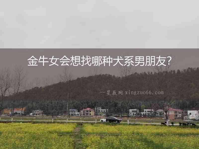 金牛女會(huì)想找哪種犬系男朋友？