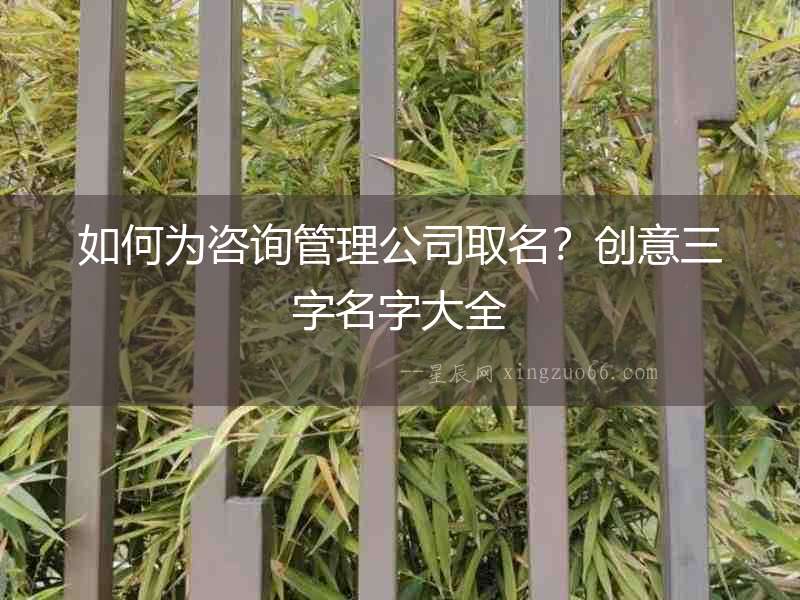 如何為咨詢管理公司取名？創意三字名字大全