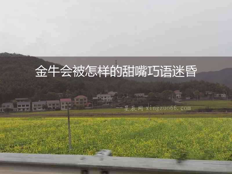金牛會被怎樣的甜嘴巧語迷昏