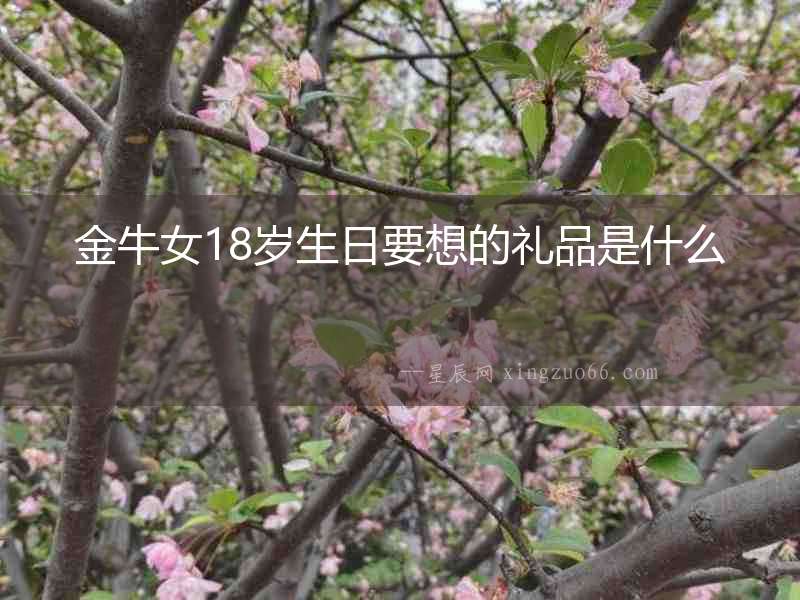 金牛女18歲生日要想的禮品是什么
