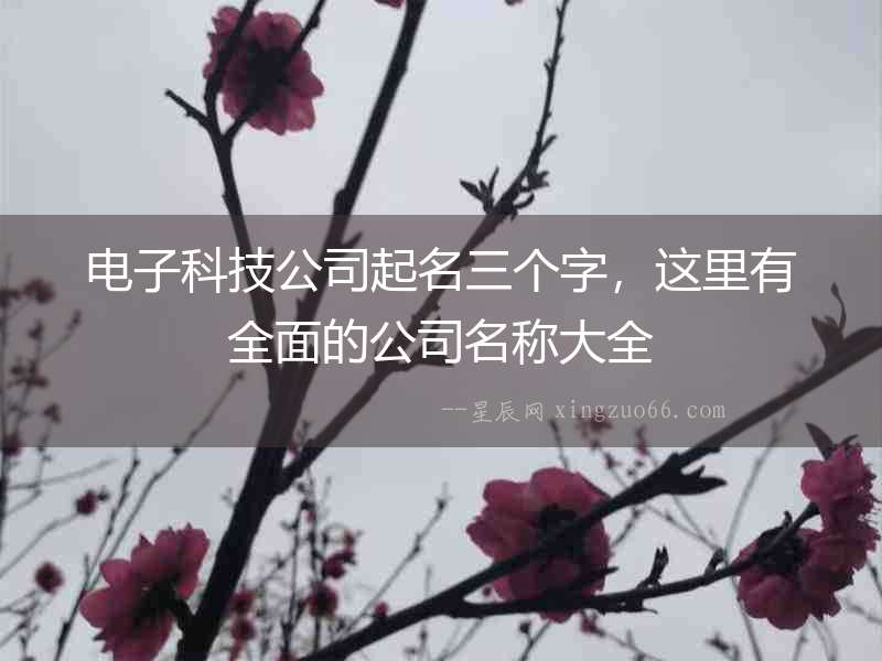 電子科技公司起名三個字，這里有全面的公司名稱大全