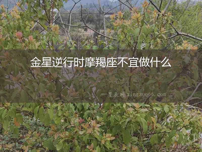 金星逆行時(shí)摩羯座不宜做什么