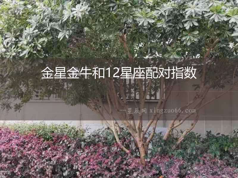 金星金牛和12星座配對指數(shù)
