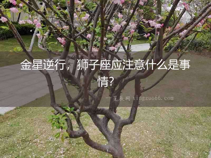 金星逆行，獅子座應注意什么是事情？