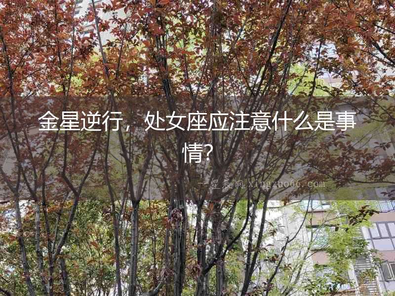 金星逆行，處女座應注意什么是事情？
