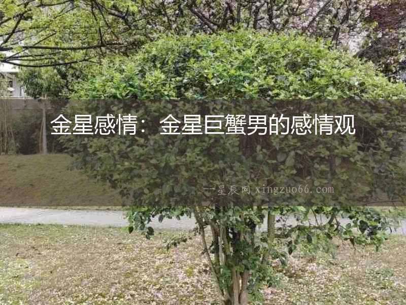 金星感情：金星巨蟹男的感情觀