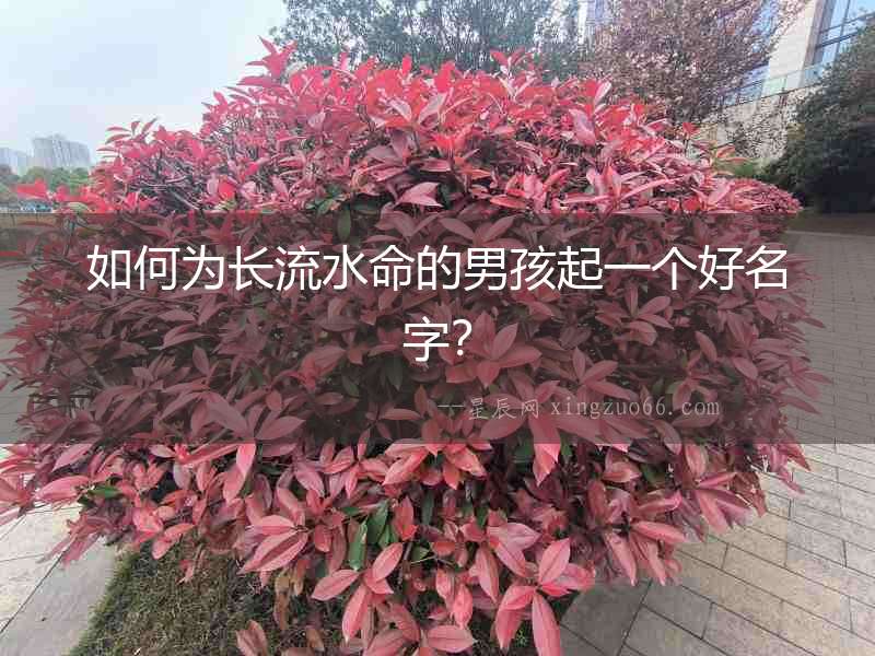 如何為長流水命的男孩起一個好名字？