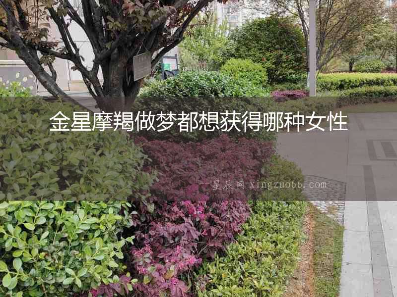 金星摩羯做夢(mèng)都想獲得哪種女性