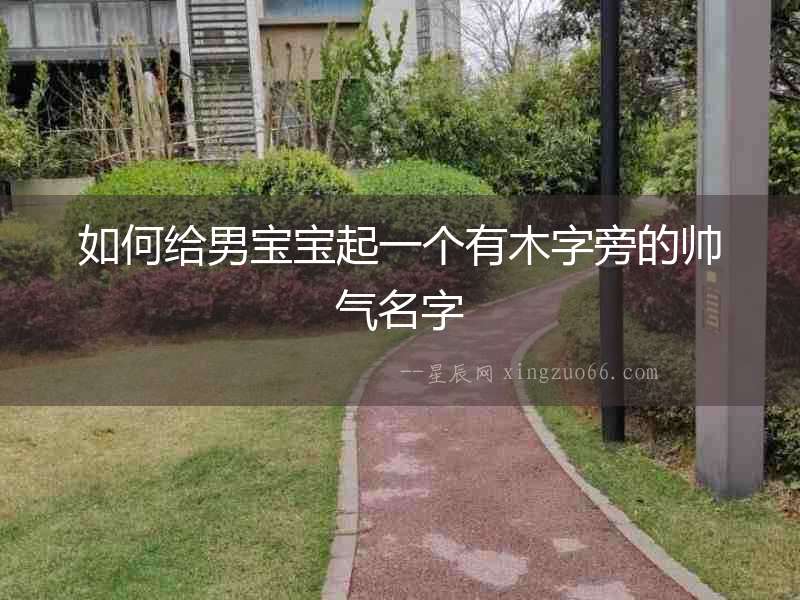 如何給男寶寶起一個有木字旁的帥氣名字