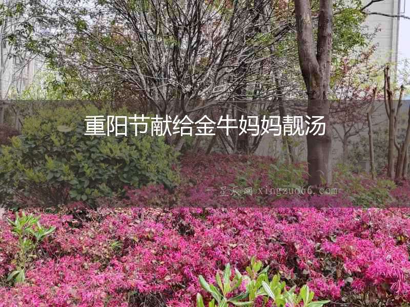 重陽節(jié)獻(xiàn)給金牛媽媽靚湯