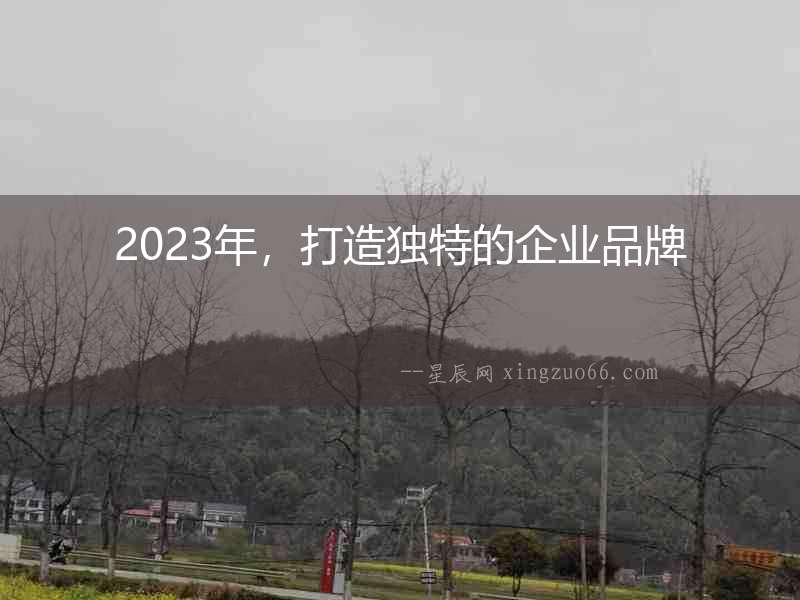 2023年，打造獨(dú)特的企業(yè)品牌