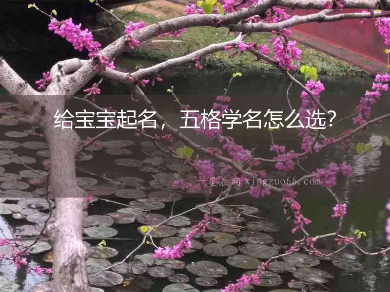 給寶寶起名，五格學名怎么選？