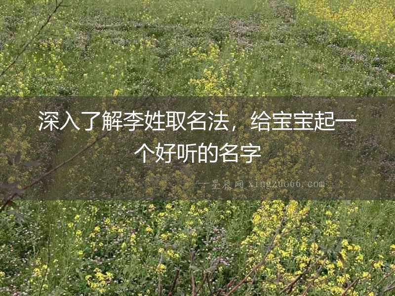深入了解李姓取名法，給寶寶起一個好聽的名字