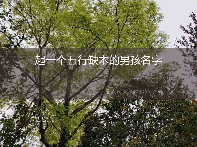 起一個(gè)五行缺木的男孩名字