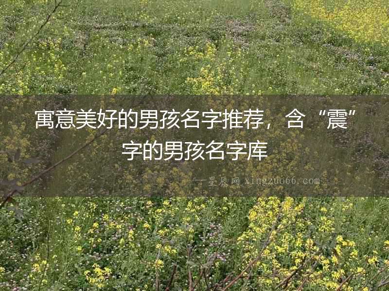 寓意美好的男孩名字推薦，含“震”字的男孩名字庫(kù)
