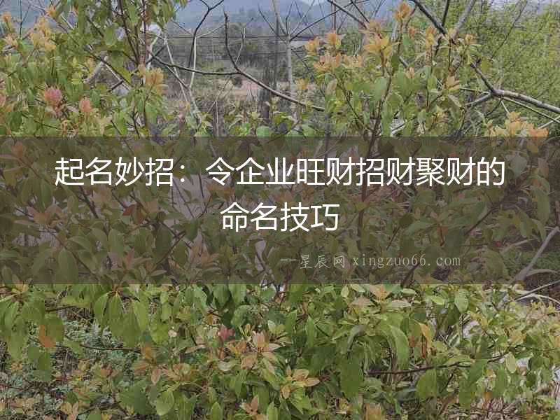 起名妙招:令企業(yè)旺財招財聚財?shù)拿记? alt=
