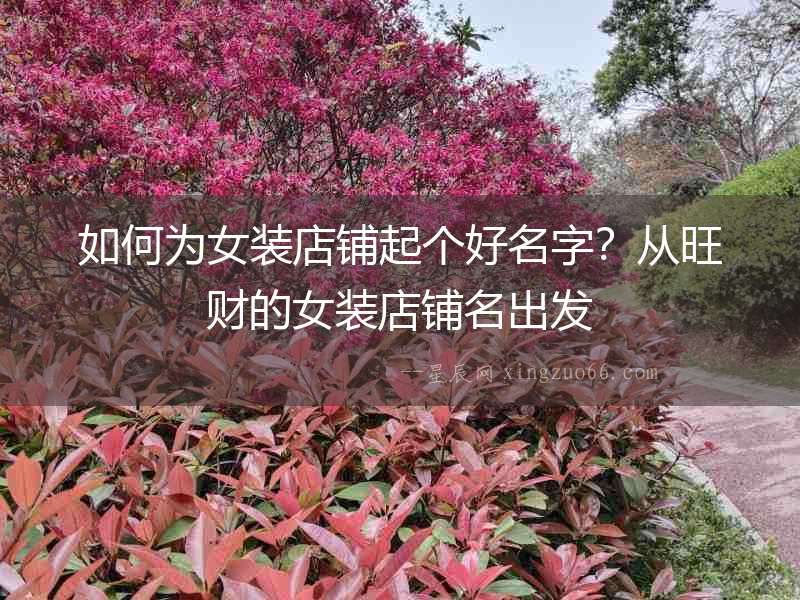 如何為女裝店鋪起個好名字？從旺財的女裝店鋪名出發