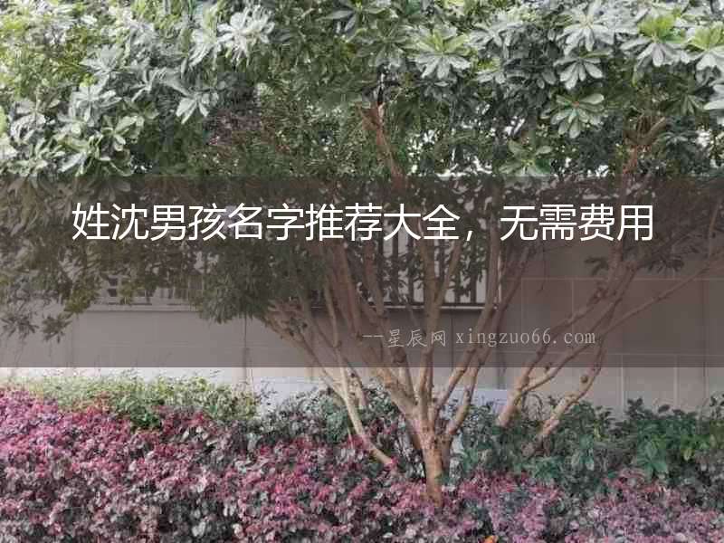 姓沈男孩名字推薦大全，無需費用
