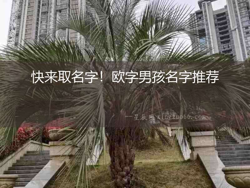 快來(lái)取名字！歐字男孩名字推薦