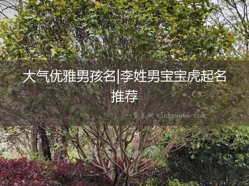大氣優雅男孩名|李姓男寶寶虎起名推薦