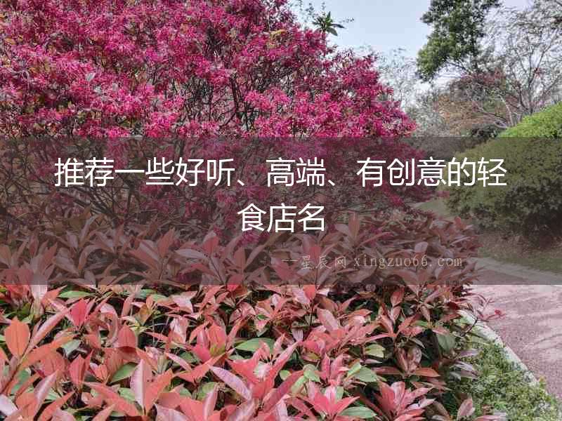 推薦一些好聽、高端、有創(chuàng)意的輕食店名