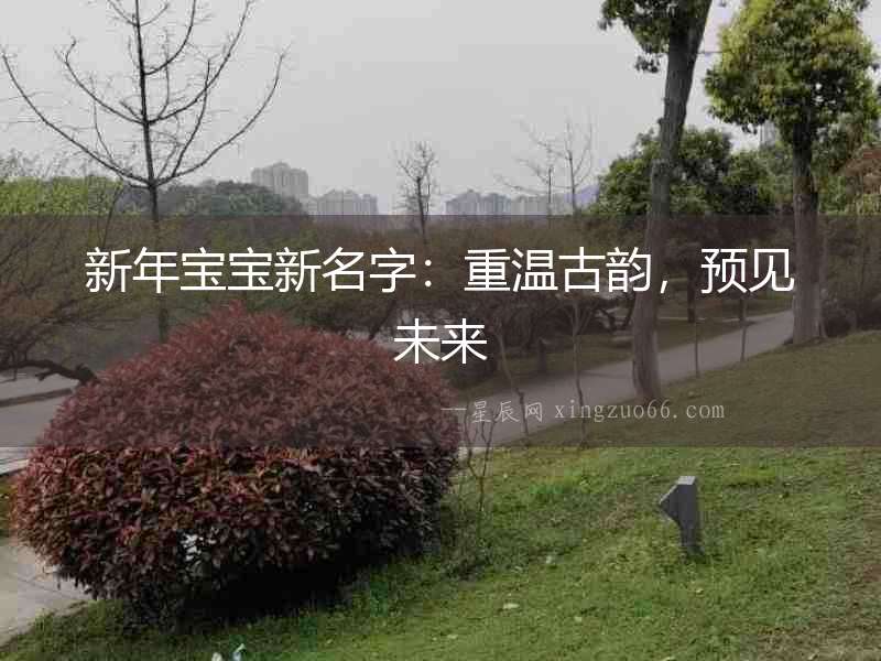 新年寶寶新名字：重溫古韻，預見未來