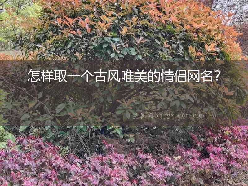 怎樣取一個(gè)古風(fēng)唯美的情侶網(wǎng)名？