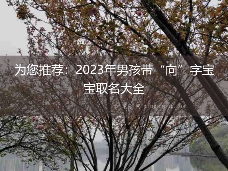 為您推薦：2023年男孩帶“向”字寶寶取名大全