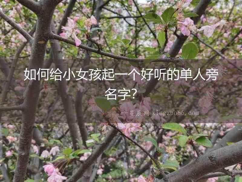 如何給小女孩起一個好聽的單人旁名字？