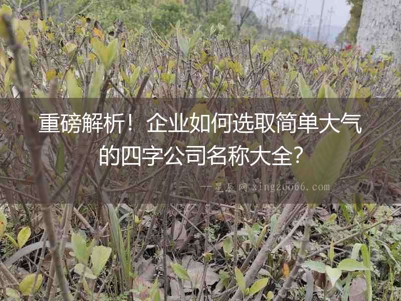 重磅解析！企業(yè)如何選取簡單大氣的四字公司名稱大全？