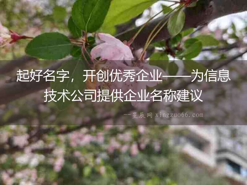 起好名字，開創(chuàng)優(yōu)秀企業(yè)——為信息技術(shù)公司提供企業(yè)名稱建議