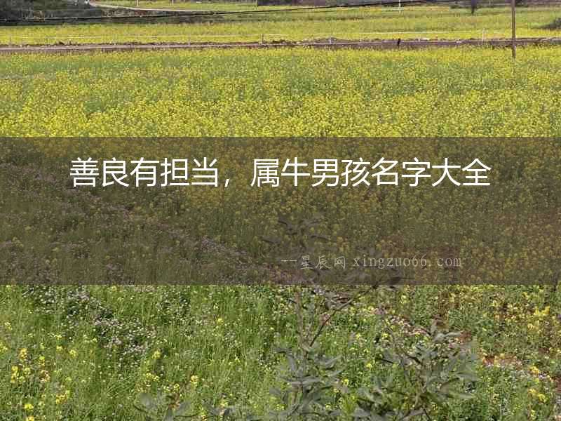 善良有擔當，屬牛男孩名字大全