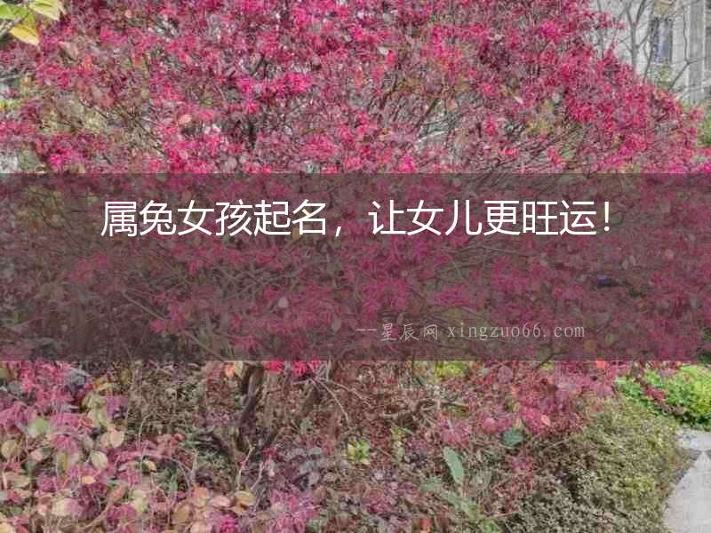 屬兔女孩起名，讓女兒更旺運(yùn)！