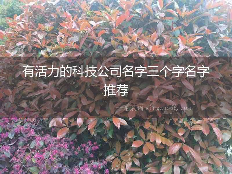 有活力的科技公司名字三個字名字推薦