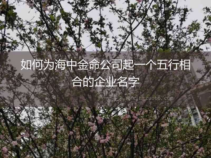 如何為海中金命公司起一個五行相合的企業名字