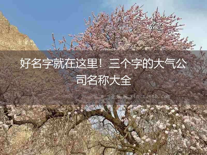 好名字就在這里！三個字的大氣公司名稱大全