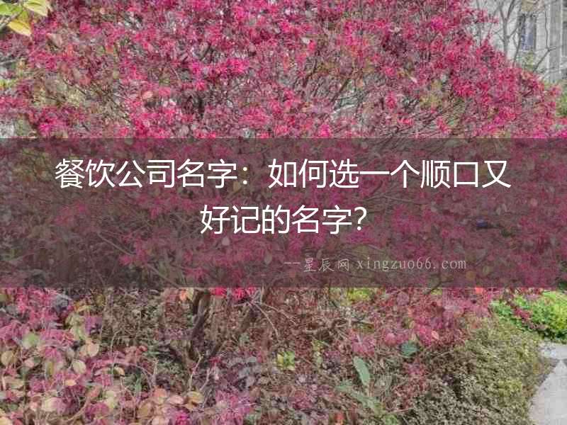 餐飲公司名字：如何選一個順口又好記的名字？