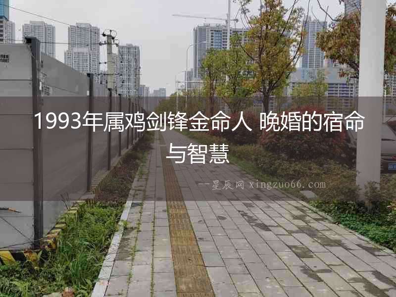 1993年屬雞劍鋒金命人 晚婚的宿命與智慧