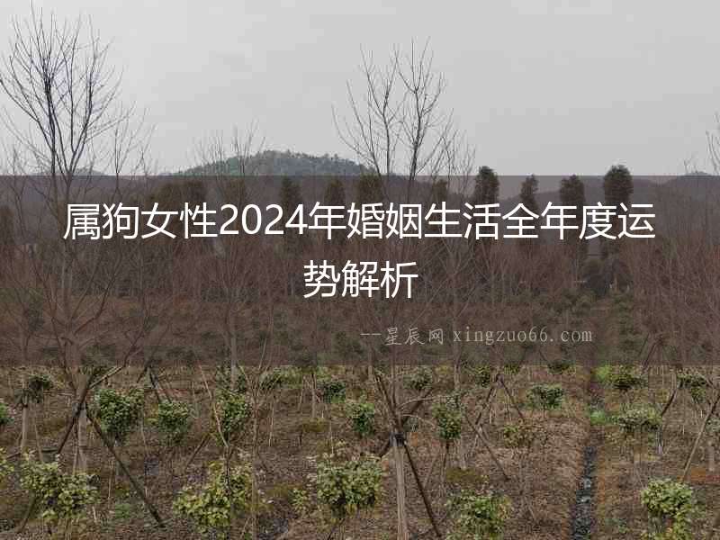 屬狗女性2024年婚姻生活全年度運勢解析