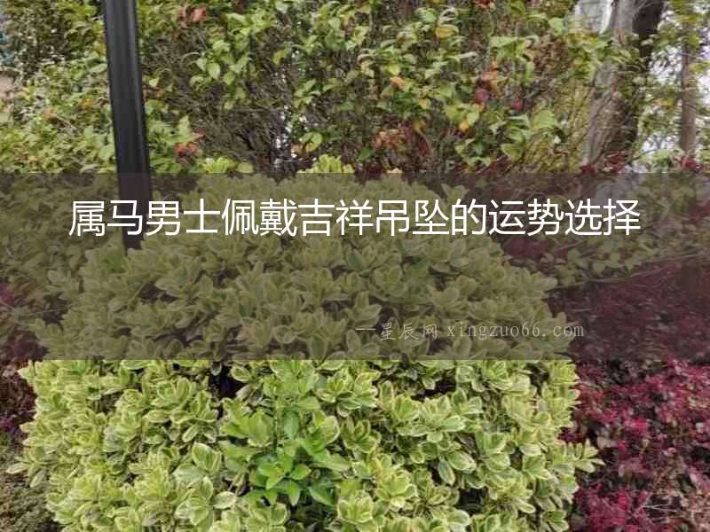 屬馬男士佩戴吉祥吊墜的運(yùn)勢(shì)選擇