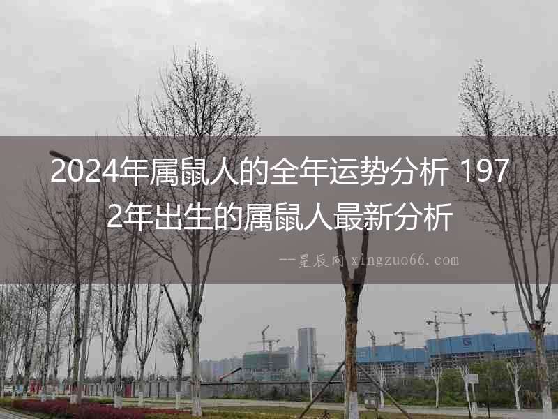 2024年屬鼠人的全年運勢分析 1972年出生的屬鼠人最新分析