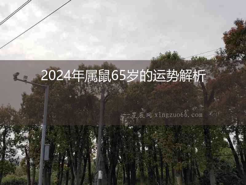 2024年屬鼠65歲的運勢解析
