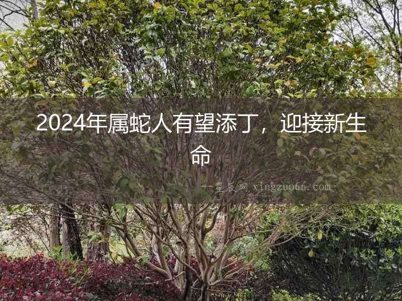 2024年屬蛇人有望添丁，迎接新生命