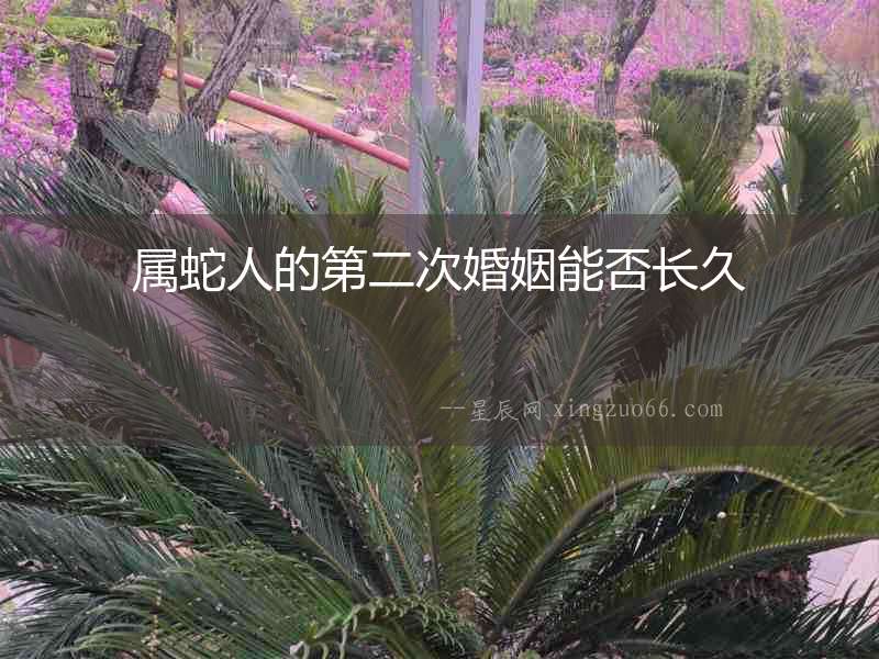 屬蛇人的第二次婚姻能否長(zhǎng)久