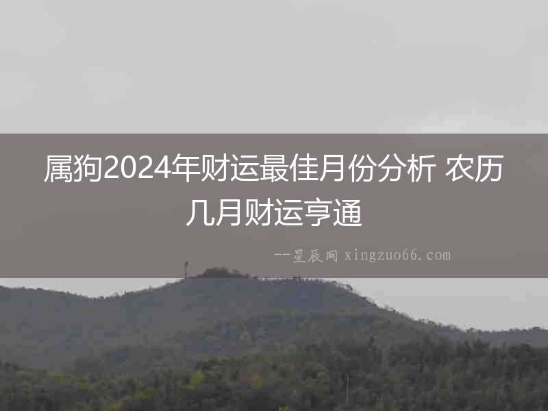 屬狗2024年財(cái)運(yùn)最佳月份分析 農(nóng)歷幾月財(cái)運(yùn)亨通
