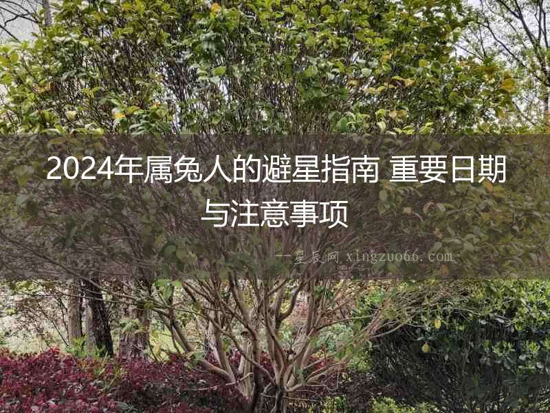 2024年屬兔人的避星指南 重要日期與注意事項