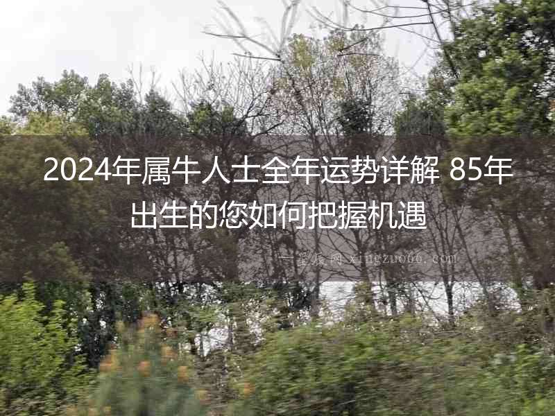 2024年屬牛人士全年運(yùn)勢(shì)詳解 85年出生的您如何把握機(jī)遇